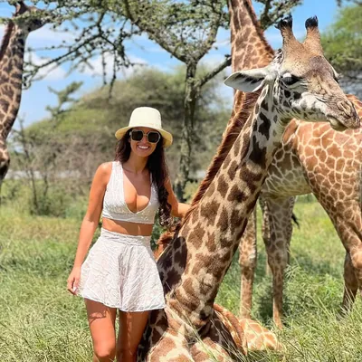 Guest with giraffes on the Serengeti plains