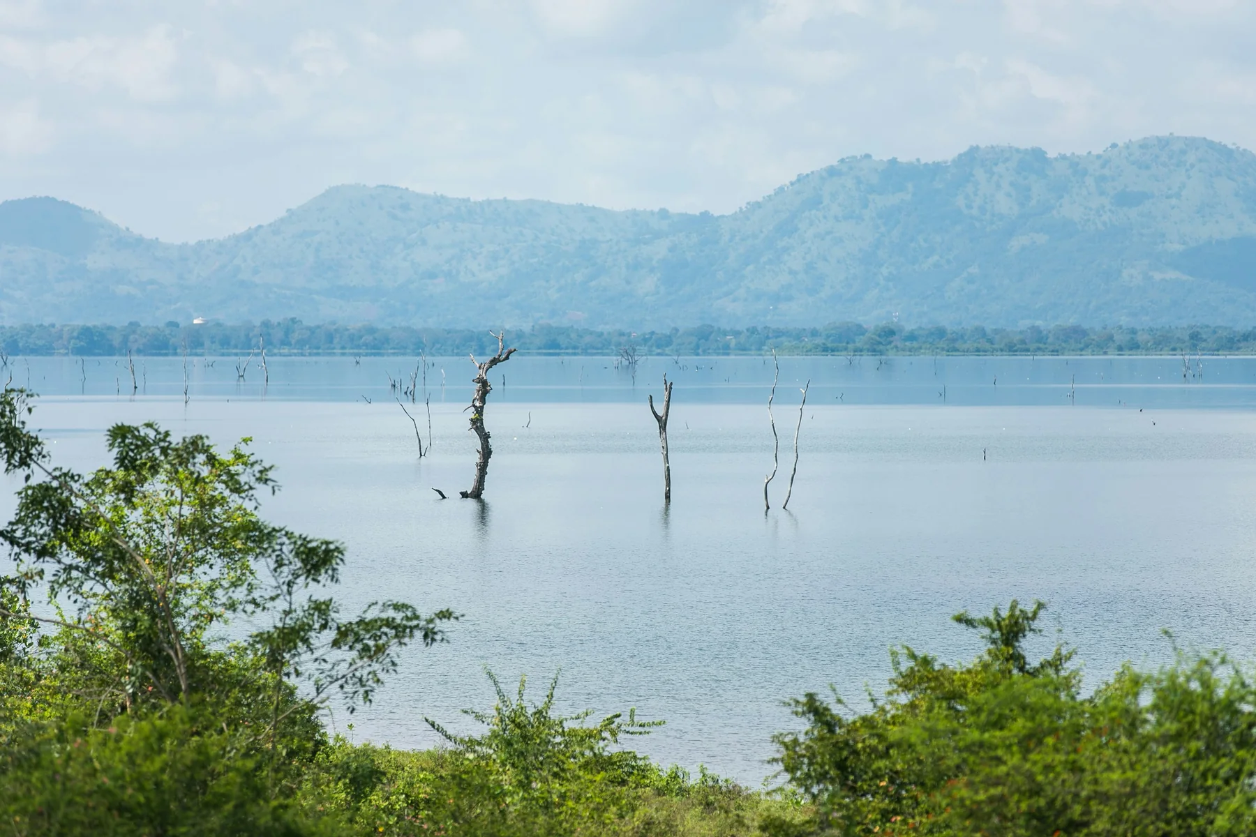 Lake Manyara National Park Safari