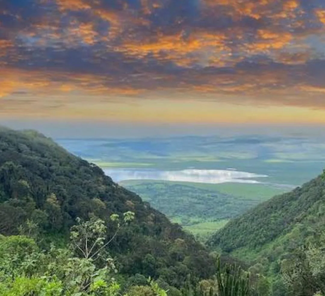 Ngorongoro Crater Safari